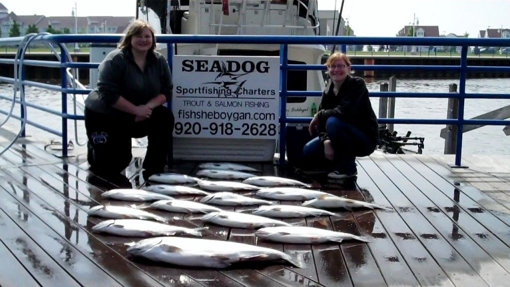 Sea Dog Sportfishing Charters of Sheboygan - Fishing Charter in Sheboygan, Wisconsin