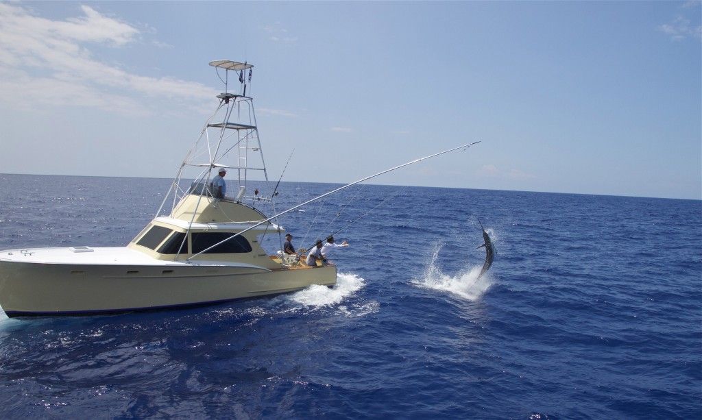 Humdinger Sportfishing Kona Hawaii - Fishing Charter in Kailua Kona, Hawaii