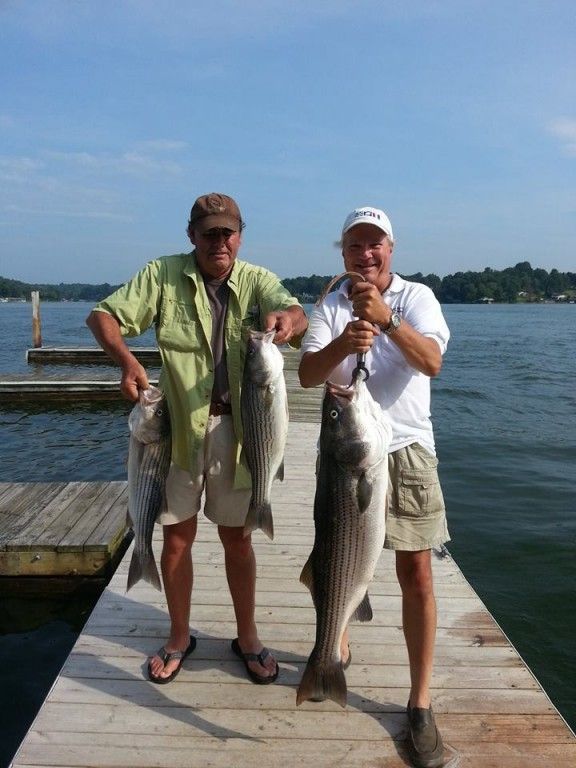 PointRunners Smith Mountain Lake Striper Guide and Charter Fishing