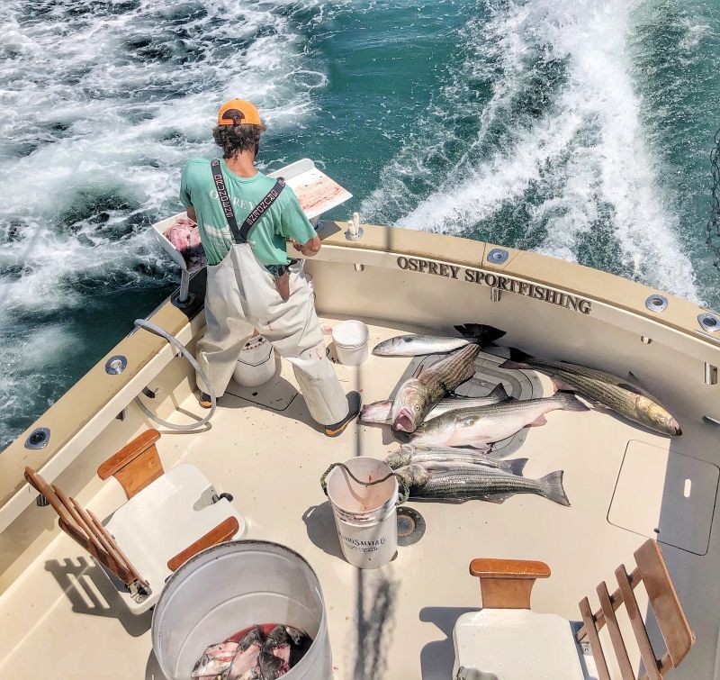 OSPREY Sportfishing Charters Fishing Charter in Groton, Connecticut